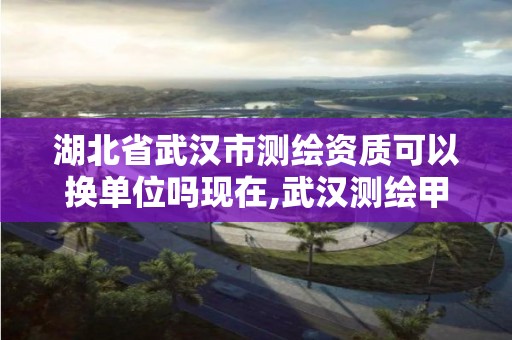 湖北省武汉市测绘资质可以换单位吗现在,武汉测绘甲级资质公司。