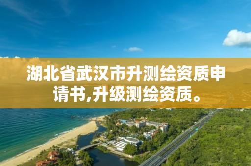 湖北省武汉市升测绘资质申请书,升级测绘资质。