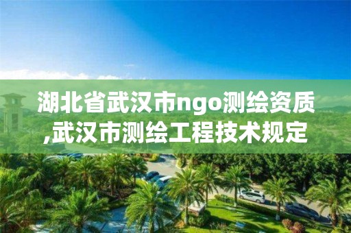 湖北省武汉市ngo测绘资质,武汉市测绘工程技术规定