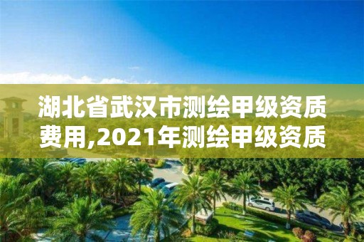 湖北省武汉市测绘甲级资质费用,2021年测绘甲级资质申报条件