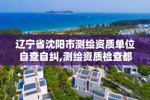 辽宁省沈阳市测绘资质单位自查自纠,测绘资质检查都检查啥