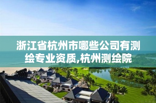 浙江省杭州市哪些公司有测绘专业资质,杭州测绘院