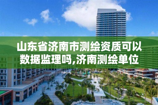 山东省济南市测绘资质可以数据监理吗,济南测绘单位