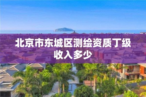 北京市东城区测绘资质丁级收入多少