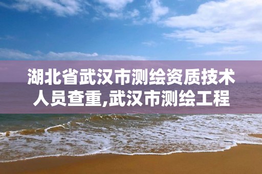 湖北省武汉市测绘资质技术人员查重,武汉市测绘工程技术规定