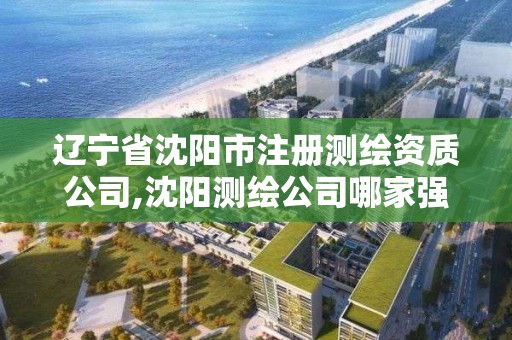 辽宁省沈阳市注册测绘资质公司,沈阳测绘公司哪家强哪家好