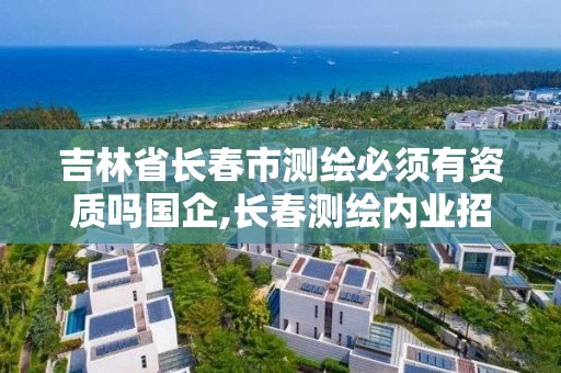 吉林省长春市测绘必须有资质吗国企,长春测绘内业招聘。