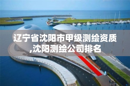 辽宁省沈阳市甲级测绘资质,沈阳测绘公司排名