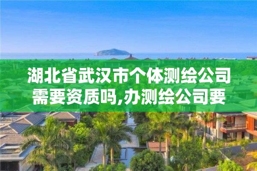 湖北省武汉市个体测绘公司需要资质吗,办测绘公司要多少钱。