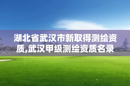 湖北省武汉市新取得测绘资质,武汉甲级测绘资质名录