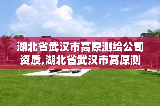 湖北省武汉市高原测绘公司资质,湖北省武汉市高原测绘公司资质公示