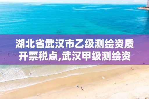 湖北省武汉市乙级测绘资质开票税点,武汉甲级测绘资质名录