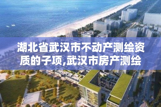 湖北省武汉市不动产测绘资质的子项,武汉市房产测绘实施细则。