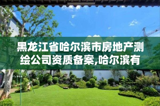 黑龙江省哈尔滨市房地产测绘公司资质备案,哈尔滨有资质房屋测量公司。