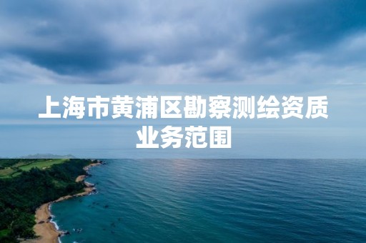 上海市黄浦区勘察测绘资质业务范围