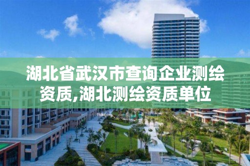 湖北省武汉市查询企业测绘资质,湖北测绘资质单位