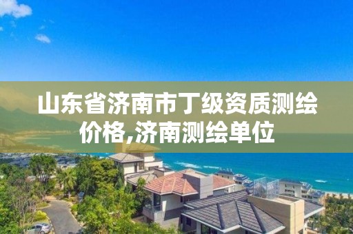 山东省济南市丁级资质测绘价格,济南测绘单位