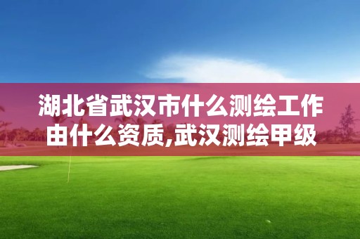 湖北省武汉市什么测绘工作由什么资质,武汉测绘甲级资质公司。