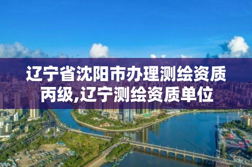 辽宁省沈阳市办理测绘资质丙级,辽宁测绘资质单位