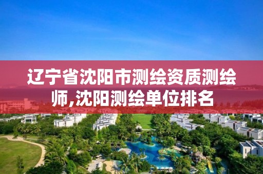 辽宁省沈阳市测绘资质测绘师,沈阳测绘单位排名