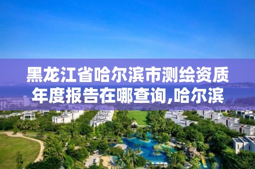 黑龙江省哈尔滨市测绘资质年度报告在哪查询,哈尔滨测绘院地址