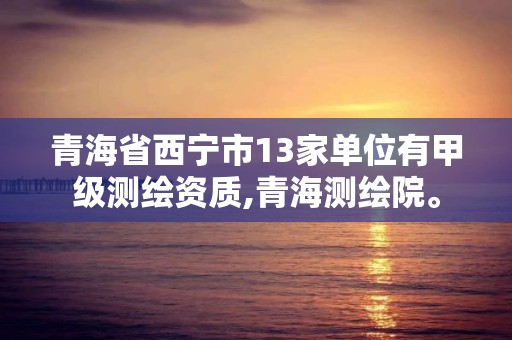 青海省西宁市13家单位有甲级测绘资质,青海测绘院。