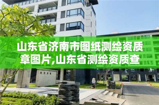 山东省济南市图纸测绘资质章图片,山东省测绘资质查询