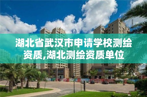 湖北省武汉市申请学校测绘资质,湖北测绘资质单位