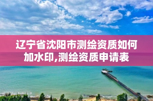 辽宁省沈阳市测绘资质如何加水印,测绘资质申请表