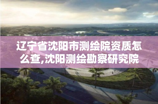 辽宁省沈阳市测绘院资质怎么查,沈阳测绘勘察研究院有限公司