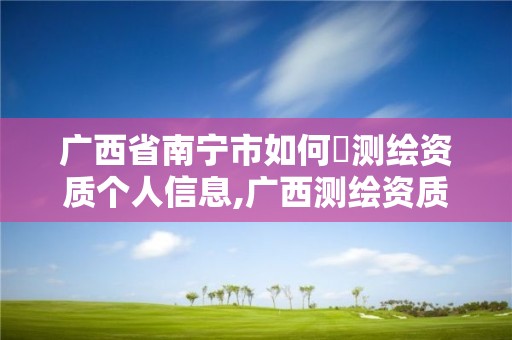 广西省南宁市如何査测绘资质个人信息,广西测绘资质审批和服务