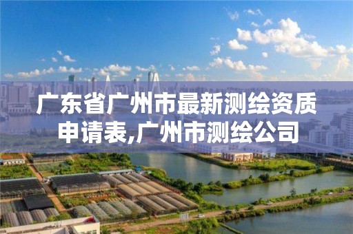 广东省广州市最新测绘资质申请表,广州市测绘公司