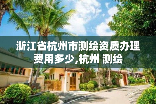 浙江省杭州市测绘资质办理费用多少,杭州 测绘