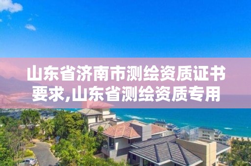 山东省济南市测绘资质证书要求,山东省测绘资质专用章图片。