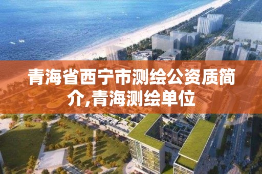 青海省西宁市测绘公资质简介,青海测绘单位