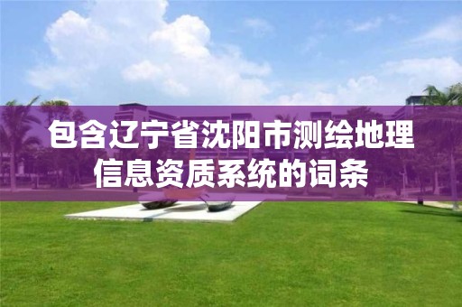 包含辽宁省沈阳市测绘地理信息资质系统的词条