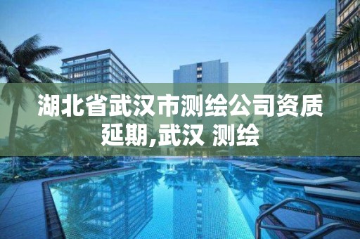 湖北省武汉市测绘公司资质延期,武汉 测绘