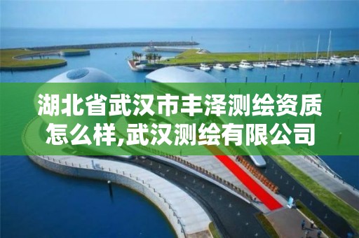 湖北省武汉市丰泽测绘资质怎么样,武汉测绘有限公司。