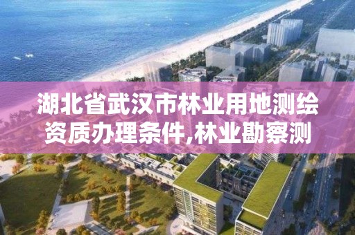 湖北省武汉市林业用地测绘资质办理条件,林业勘察测绘资质