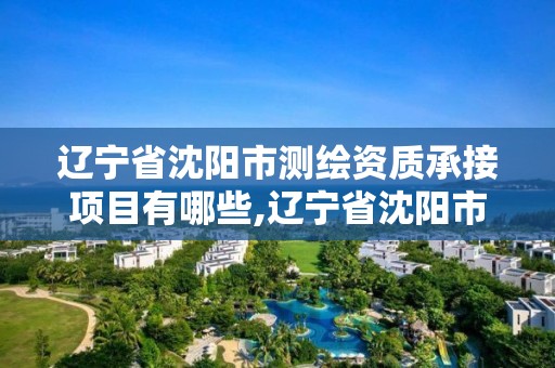 辽宁省沈阳市测绘资质承接项目有哪些,辽宁省沈阳市测绘资质承接项目有哪些公司