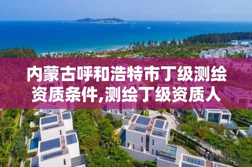 内蒙古呼和浩特市丁级测绘资质条件,测绘丁级资质人员条件