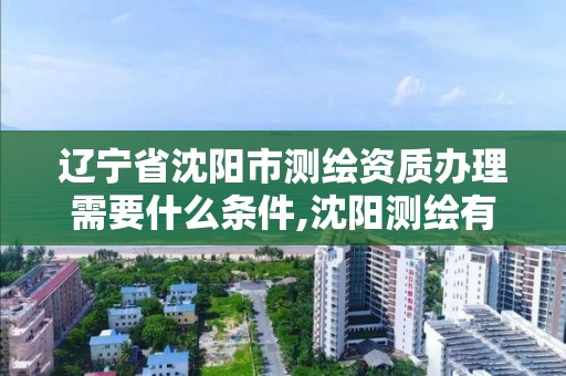 辽宁省沈阳市测绘资质办理需要什么条件,沈阳测绘有限公司。