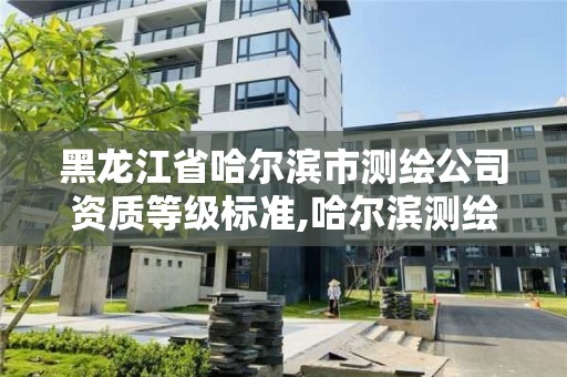 黑龙江省哈尔滨市测绘公司资质等级标准,哈尔滨测绘局幼儿园是民办还是公办。