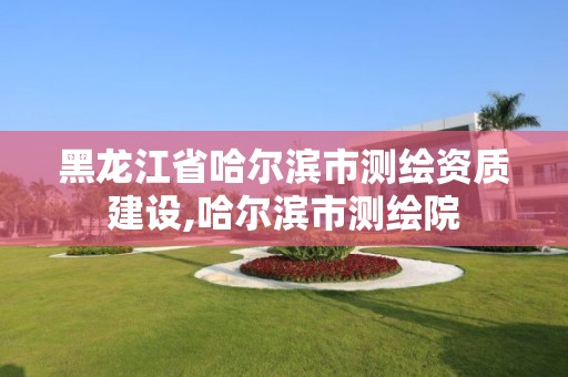 黑龙江省哈尔滨市测绘资质建设,哈尔滨市测绘院