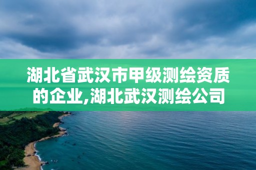 湖北省武汉市甲级测绘资质的企业,湖北武汉测绘公司排行榜