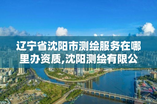 辽宁省沈阳市测绘服务在哪里办资质,沈阳测绘有限公司。