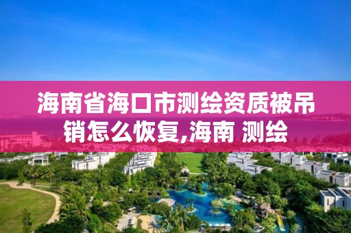 海南省海口市测绘资质被吊销怎么恢复,海南 测绘