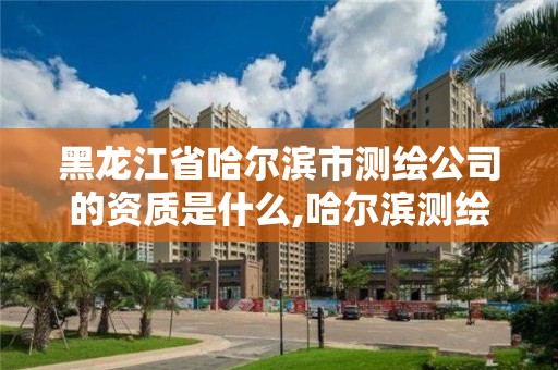 黑龙江省哈尔滨市测绘公司的资质是什么,哈尔滨测绘局怎么样