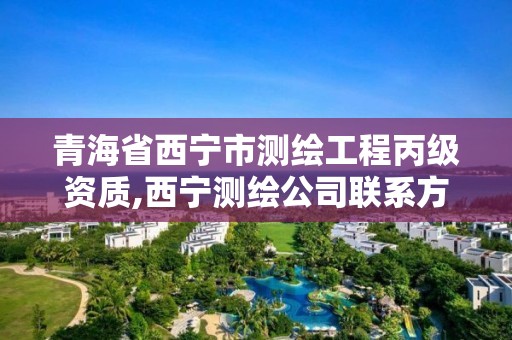 青海省西宁市测绘工程丙级资质,西宁测绘公司联系方式