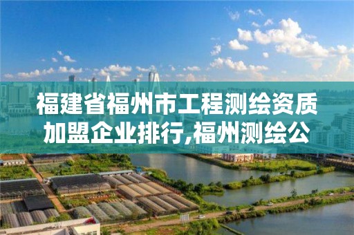 福建省福州市工程测绘资质加盟企业排行,福州测绘公司电话。